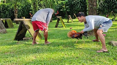 Mt. Banahaw Game farm/Ramon Montierro .